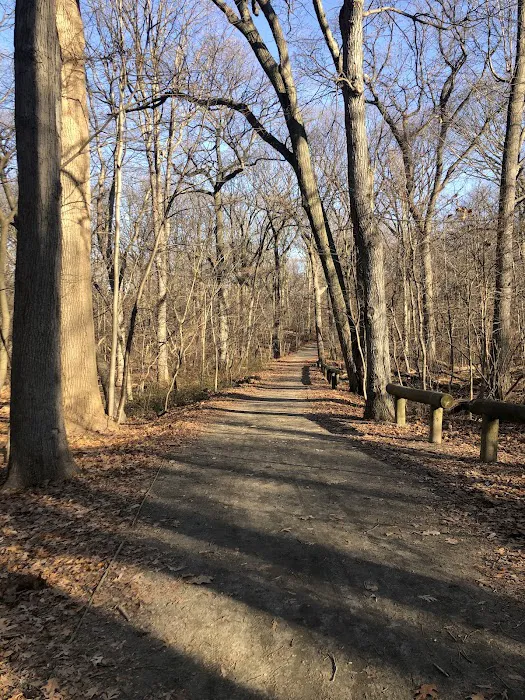 Forest Park Hiking Trails Picture 10