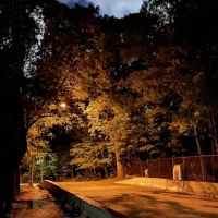 Forest Park Hiking Trails ico