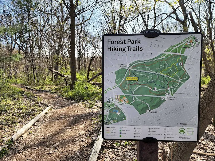 Forest Park Hiking Trails Picture 7