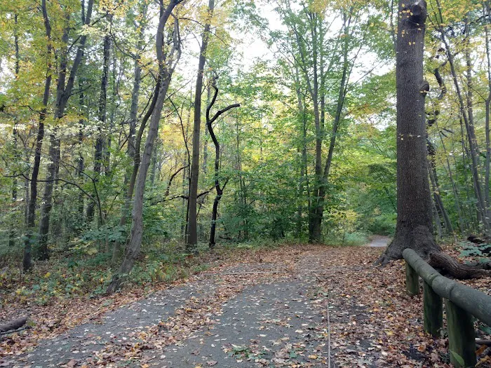 Forest Park Picture 6