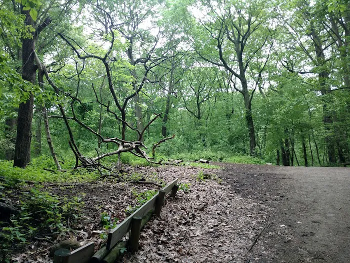 Forest Park Picture 3
