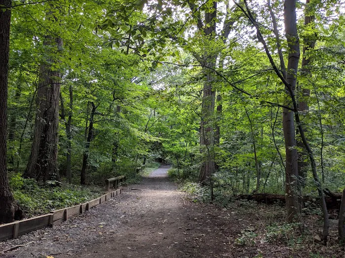 Forest Park Picture 7