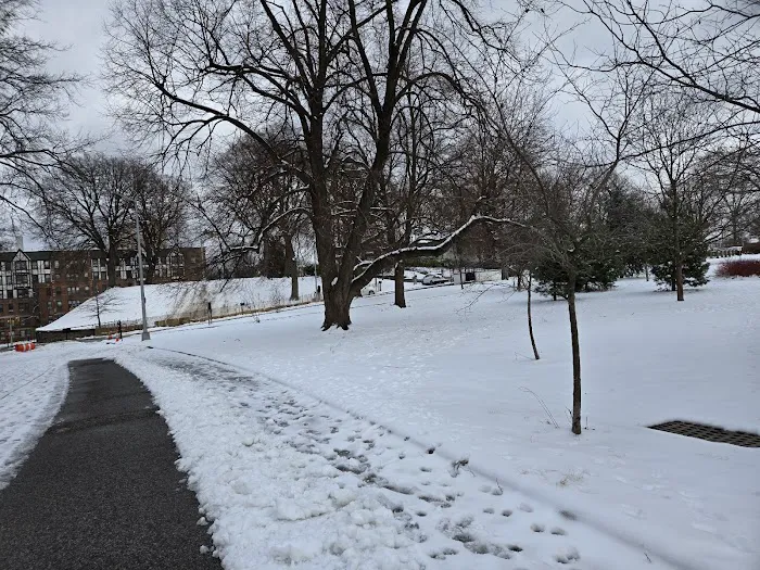 Forest Park Picture 10