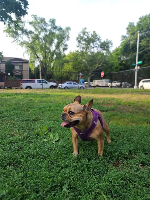 Underbridge Dog Run Picture 4
