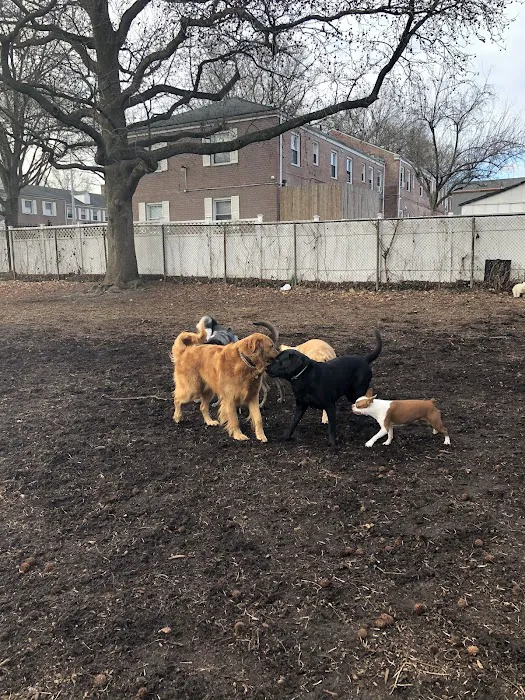 Underbridge Dog Run Picture 6