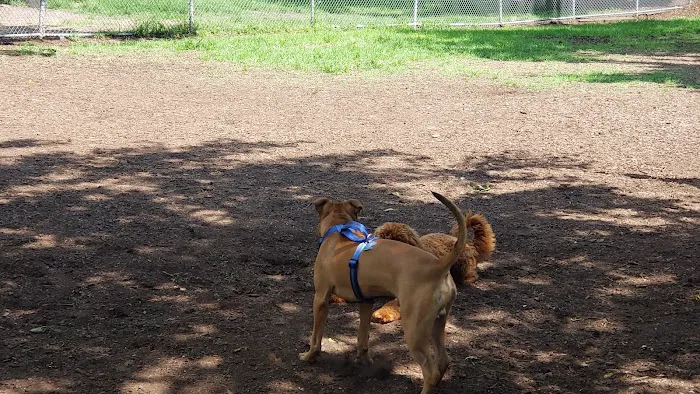 Underbridge Dog Run Picture 10
