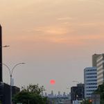 Federoff Triangle