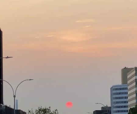 Federoff Triangle