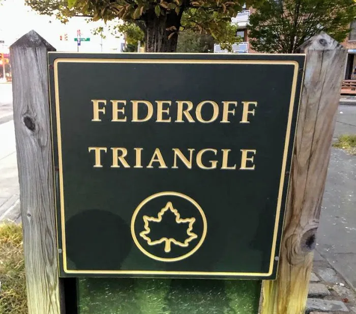 Federoff Triangle Picture 4