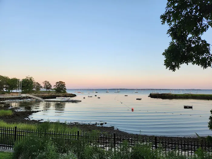 Larchmont Dog Beach Picture 6