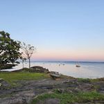 Larchmont Dog Beach