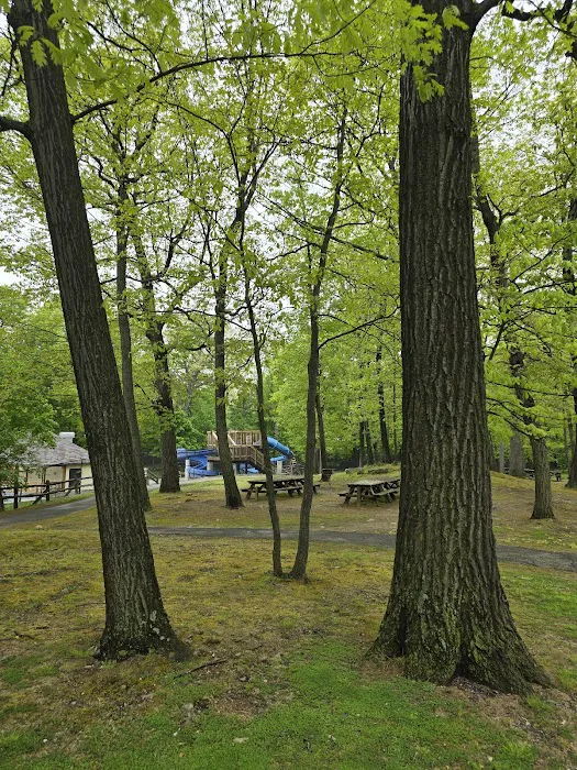 Willson’s Woods Park Picture 5