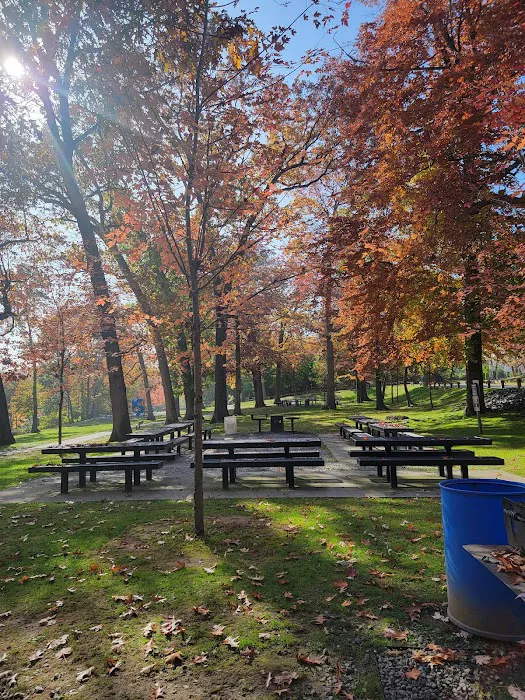 Willson’s Woods Park Picture 10