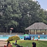 Willson’s Woods Park ico