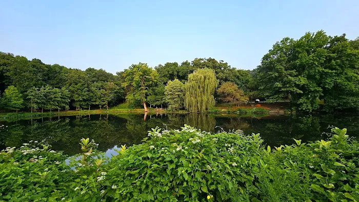 Willson’s Woods Park Picture 7