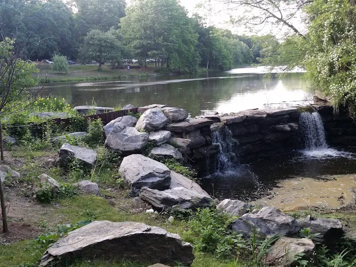 Willson’s Woods Park Picture 3