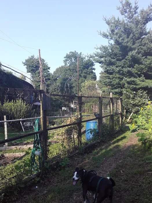 Bissel Gardens Picture 2