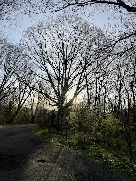Bronx River Forest Park Picture 3