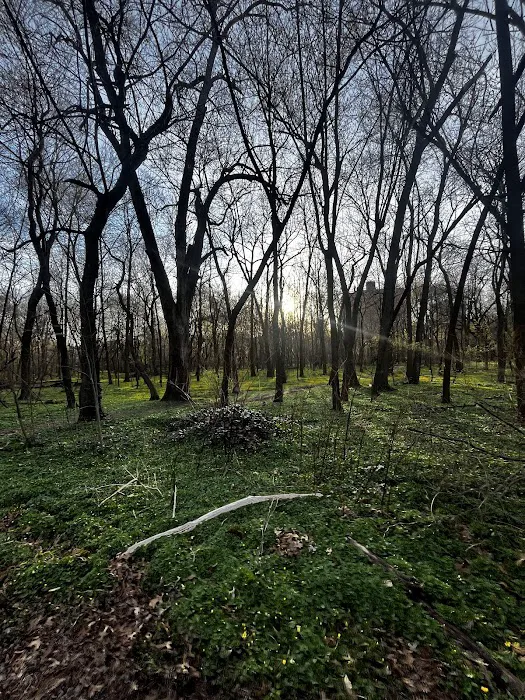 Bronx River Forest Park Picture 4