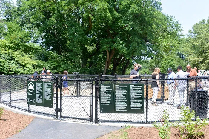 Bronx River Park Dog Run Picture 4