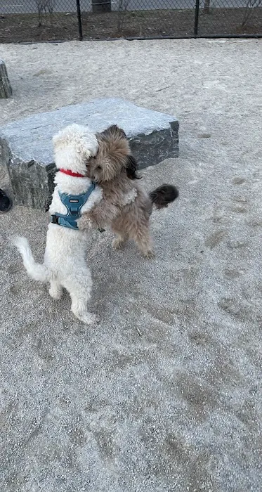 Bronx River Park Dog Run Picture 1