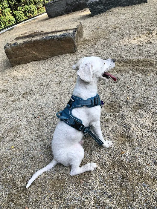 Bronx River Park Dog Run Picture 2
