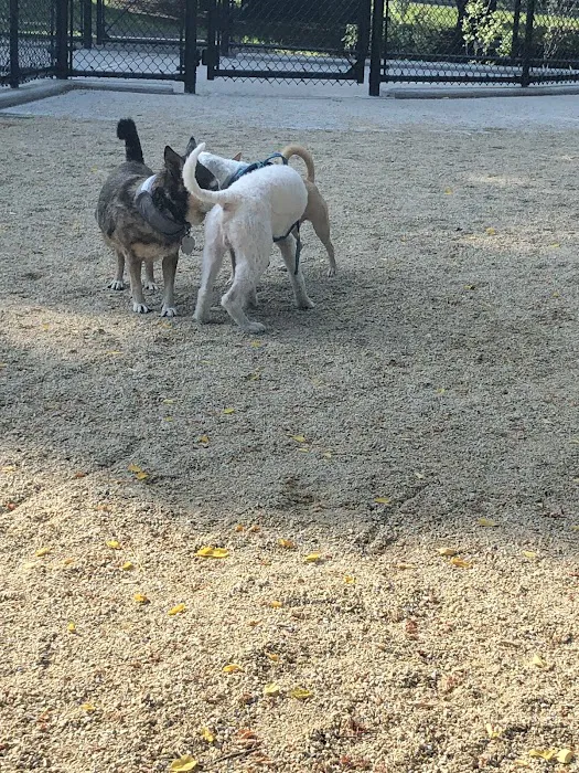 Bronx River Park Dog Run Picture 3