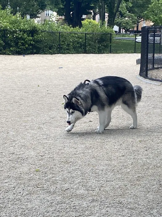 Bronx River Park Dog Run Picture 5