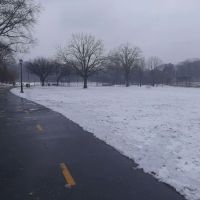 Bronx Park East ico
