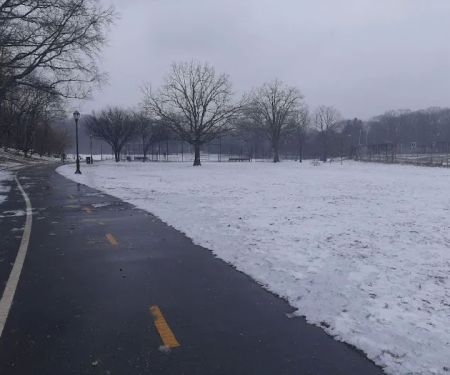 Bronx Park East