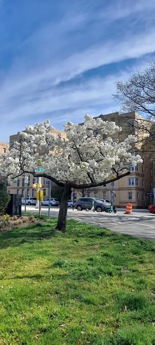 Bronx Park East Picture 3