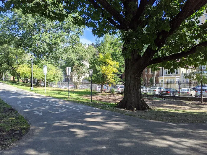 Bronx Park East Picture 9