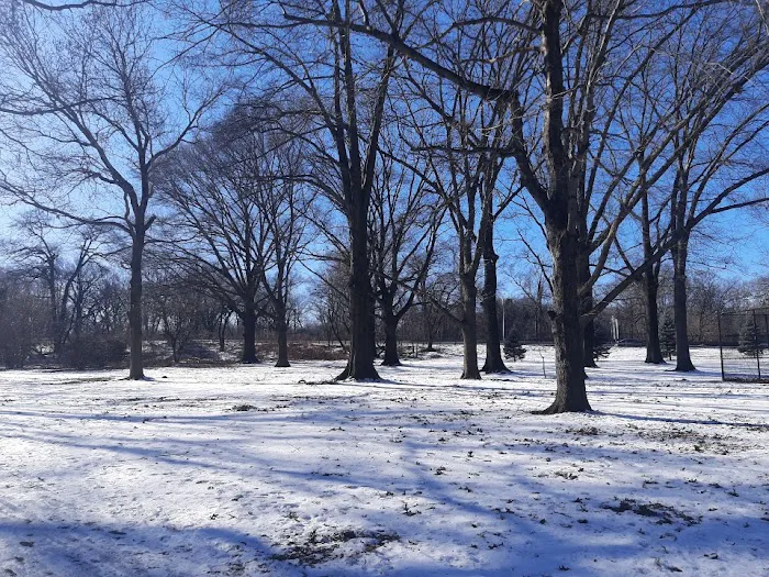 Bronx Park East Picture 4
