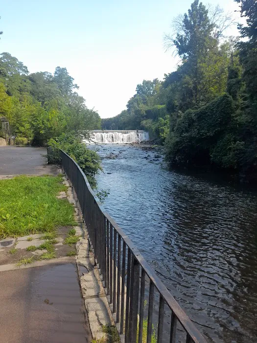 Bronx Park East Picture 6