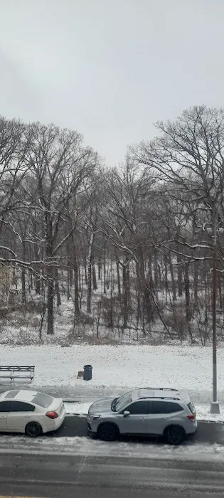 Bronx Park East Picture 2