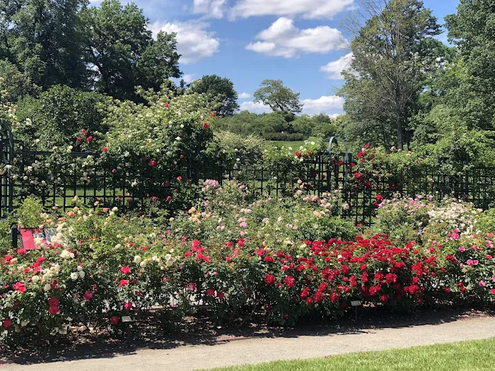 Peggy Rockefeller Rose Garden, NYBG Picture 7