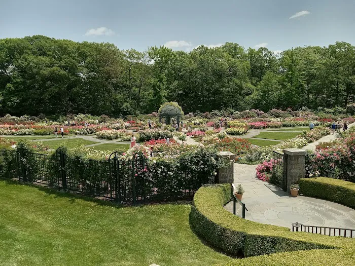 Peggy Rockefeller Rose Garden, NYBG Picture 6