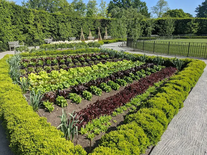 Burn Family Lilac Collection, NYBG Picture 9