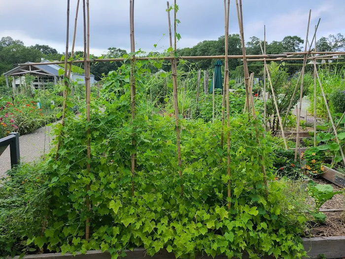 Edible Academy, NYBG Picture 3