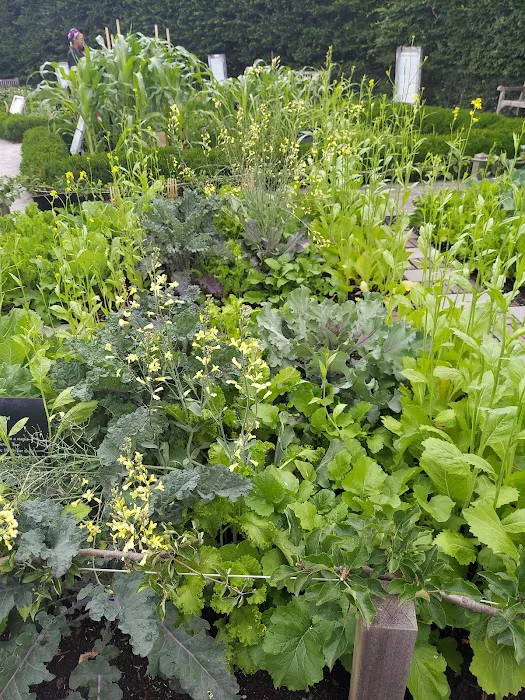 Edible Academy, NYBG Picture 9