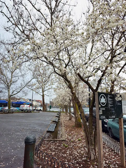 Wood Avenue Picture 1