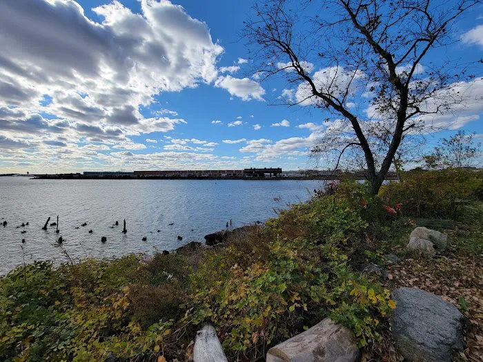 Soundview Park Picture 6
