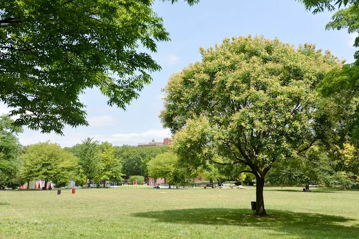 Soundview Park Picture 1