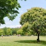 Soundview Park