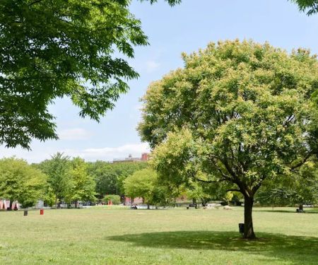 Soundview Park