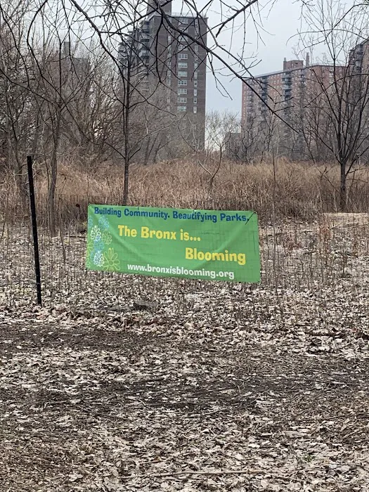 The Bronx is Blooming Coastal Restoration Forest & Garden Picture 1