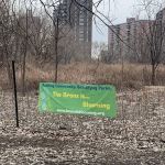 The Bronx is Blooming Coastal Restoration Forest & Garden
