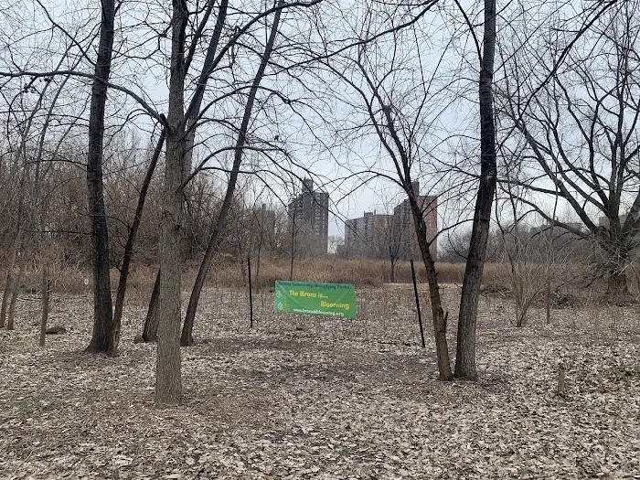 The Bronx is Blooming Coastal Restoration Forest & Garden Picture 2