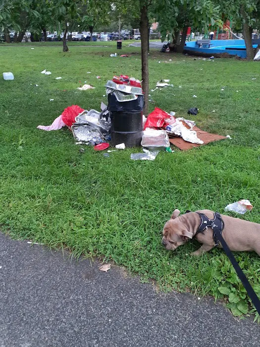 Soundview Park Dog Run Picture 9
