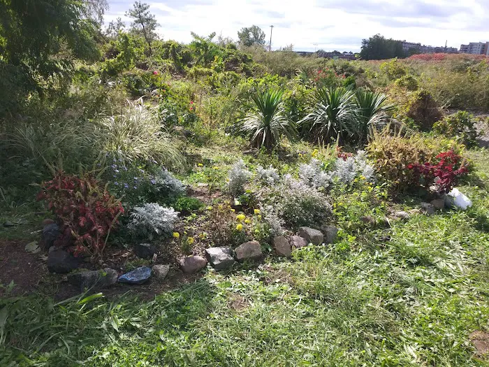 Butterfly Meditation Garden Picture 5
